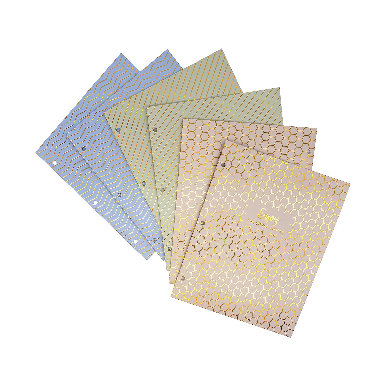 Pukka Pad Haze 3-Hole Punched 2-Pocket Cardstock Portfolio Folders, Assorted Colors, 6/Pack (9980(AST)-HZE)