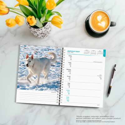 2027 BrownTrout German Shepherds 6.5" x 7.8" Calendar Year Weekly Standard Planner, Multicolor (9798330709496
