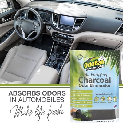 OdoBan Air Purifying Charcoal Deodorizer Solid, 7 oz. (9760A61-200M)