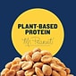 Planters Honey Roasted Peanuts, 2.5 oz., 15 Bags/Pack (GEN01652)