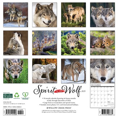 2025 Willow Creek Spirit of the Wolf 12 x 12 Monthly Wall Calendar (45008)