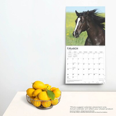 2025 BrownTrout Quarter Horses 12" x 12" Monthly  Wall Calendar (9781975477608)