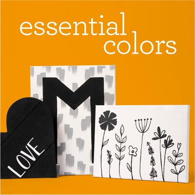 Apple Barrel Acrylic Paint Matte, Gallon, White (APP13455E)