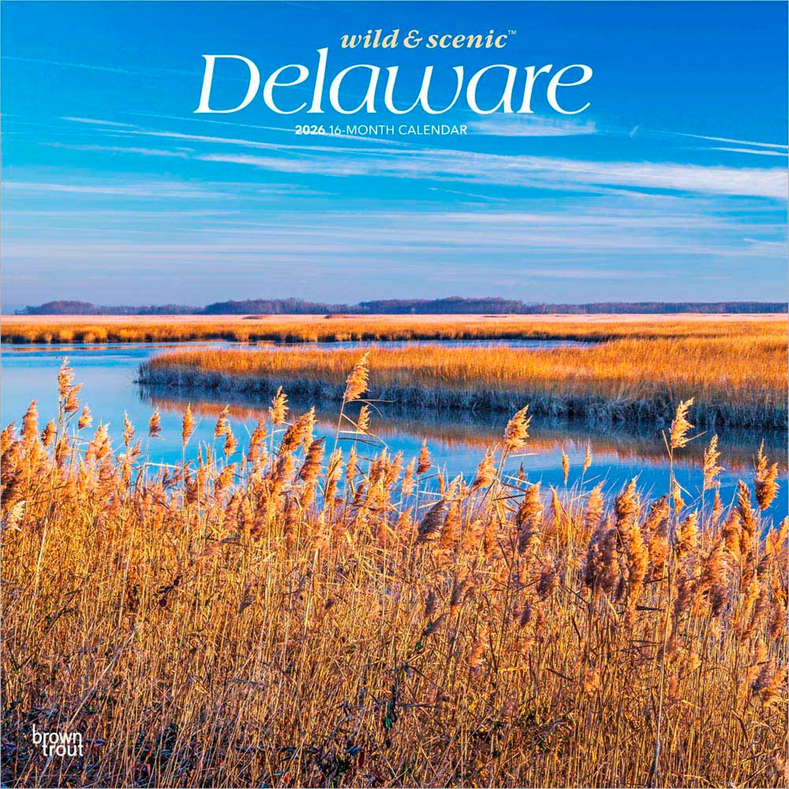 2026 BrownTrout Delaware Wild & Scenic 12 x 12 Monthly Wall Calendar (9798330703142)