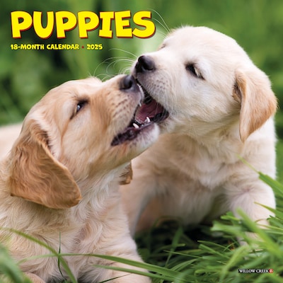 2025 Willow Creek Puppies 7 x 7 Yearly Wall Calendar (45862)