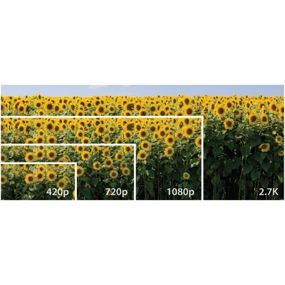 Minolta MND20 44 MP/2.7K Quad HD Digital Camera, 16x Digital Zoom, Black (ELBMND20BK)