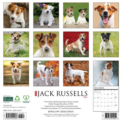 2026 Willow Creek Jack Russells 12 x 12 Monthly Wall Calendar (51627)