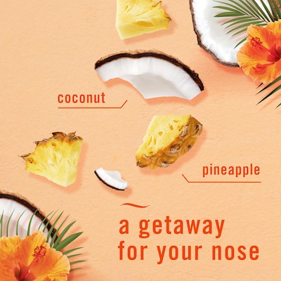 Febreze Air Mist Air Freshener Spray, Hawaiian Aloha Scent, 8.1 oz. (13855/62601)