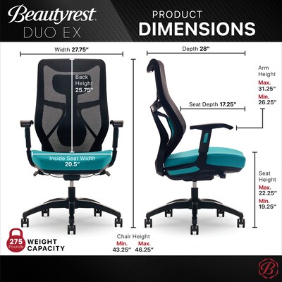 Beautyrest Duo-EX Ergonomic Mesh Swivel Computer Chair, Teal (60051-TEL)