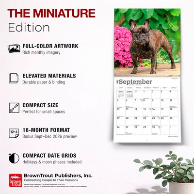 2027 BrownTrout French Bulldogs 7" x 7" Monthly Wall Calendar, Assorted Colors (9798330709991)