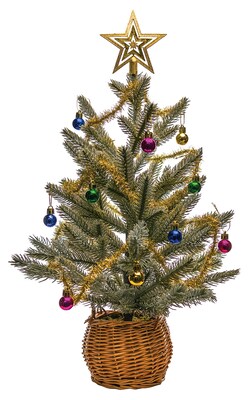 Festive Plant Decorations