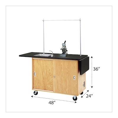 Diversified Woodcrafts Mobile Science Laboratory Rectangular Demo Unit, 48 x 24, Black (4121K)