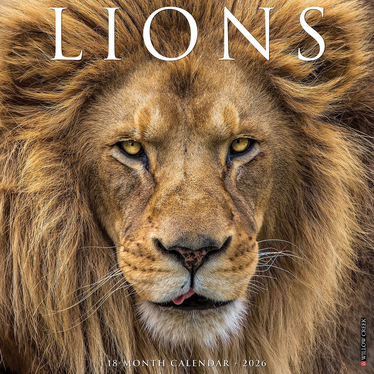 2026 Willow Creek Lions 12 x 12 Monthly Wall Calendar (55915)