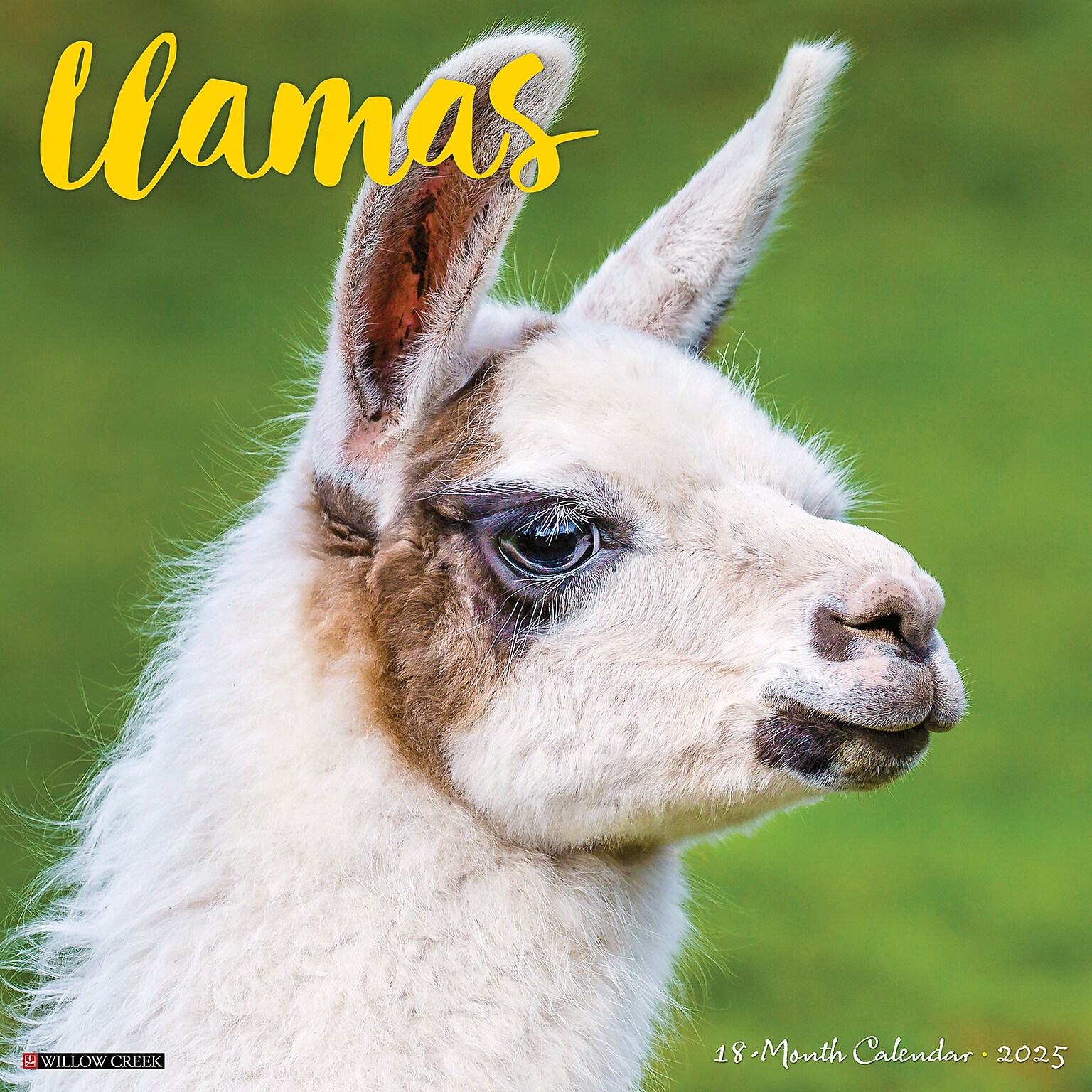 2025 Willow Creek Llamas 12 x 12 Monthly Wall Calendar (43790)