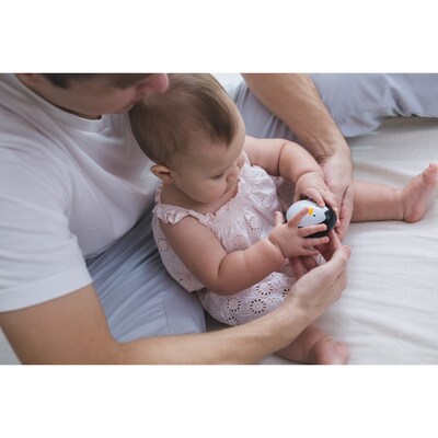 Plan Toys Penguin Wobbler Wooden Bounce Back Toy, Black (PTS5200)