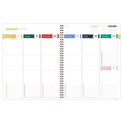 2027 TF Publishing Cherry Picked 9" x 11"  Weekly & Monthly Standard Planner, Paperboard Cover, Multicolored (27-9712)