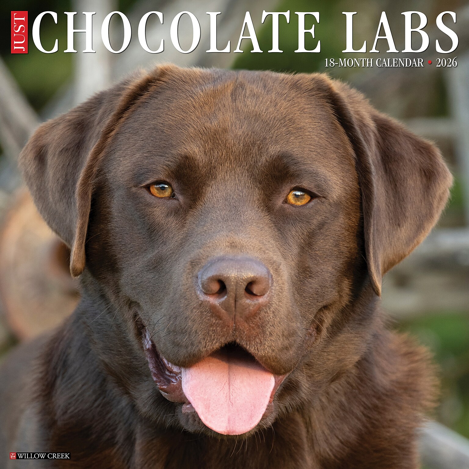 2026 Willow Creek Chocolate Labs 12 x 12 Monthly Wall Calendar (50705)