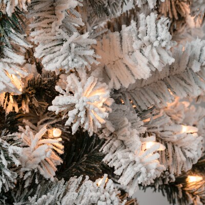 National Tree Company Acacia Artificial Christmas Trees (AC100-304-60F)