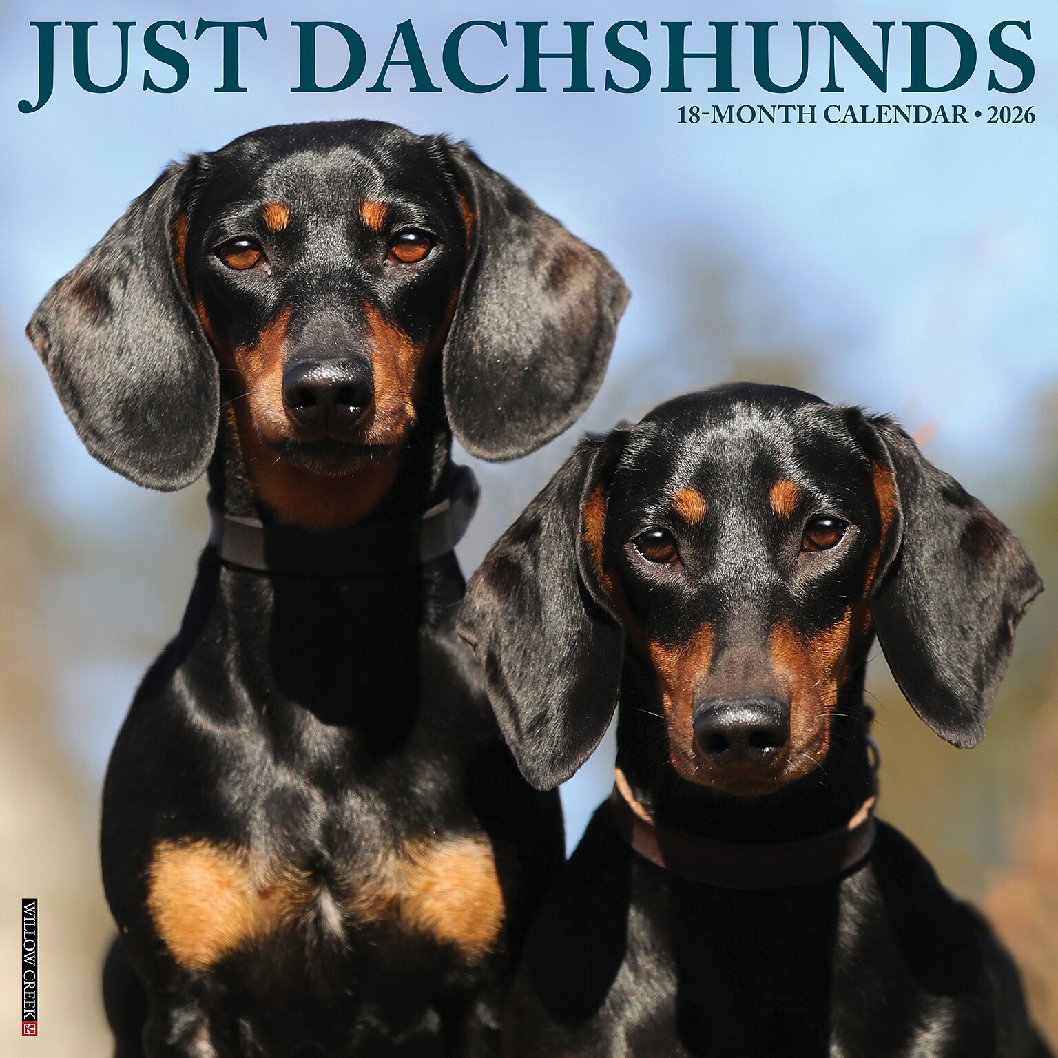 2026 Willow Creek Dachshunds 12 x 12 Monthly Wall Calendar (50941)