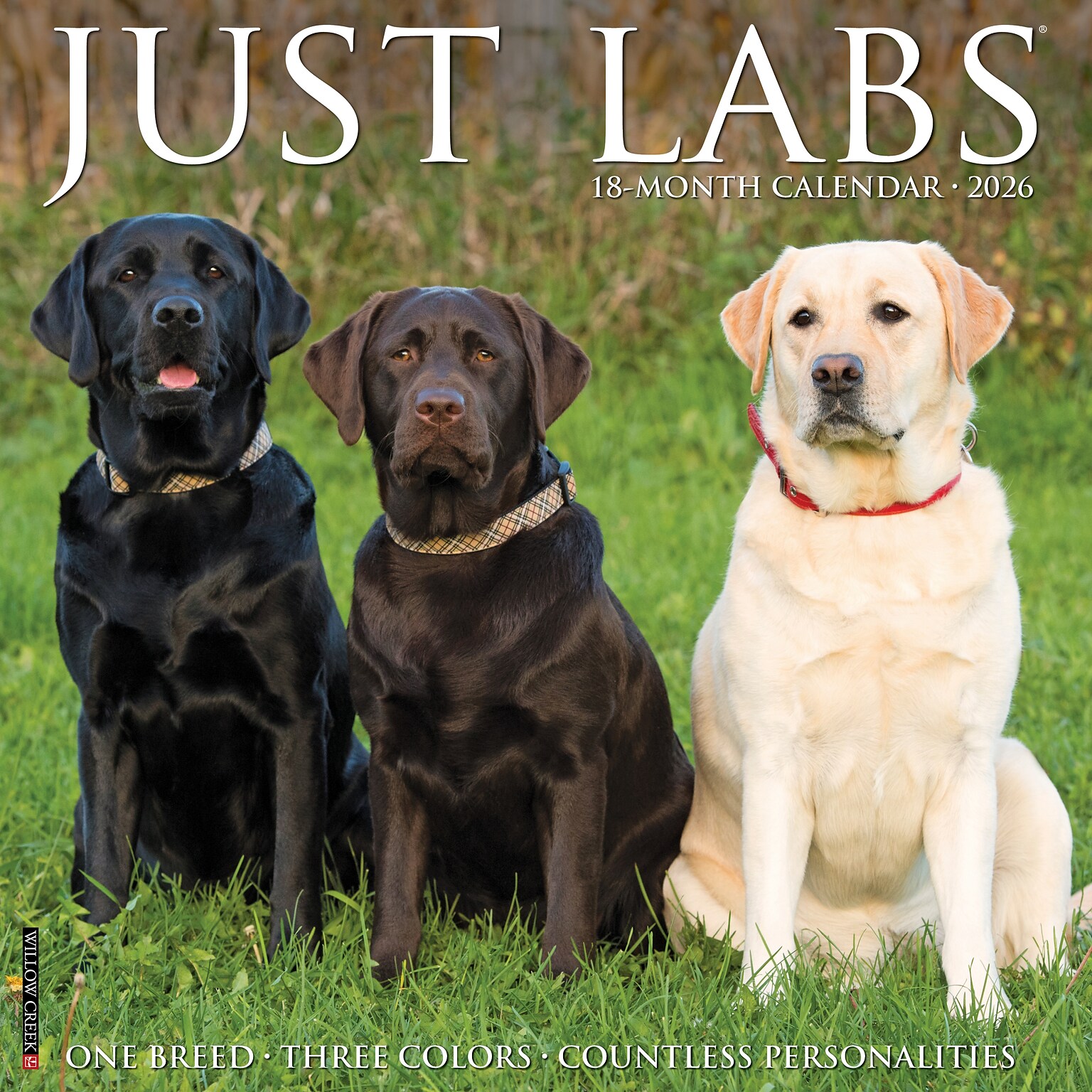 2026 Willow Creek Labs 12 x 12 Monthly Wall Calendar (51733)