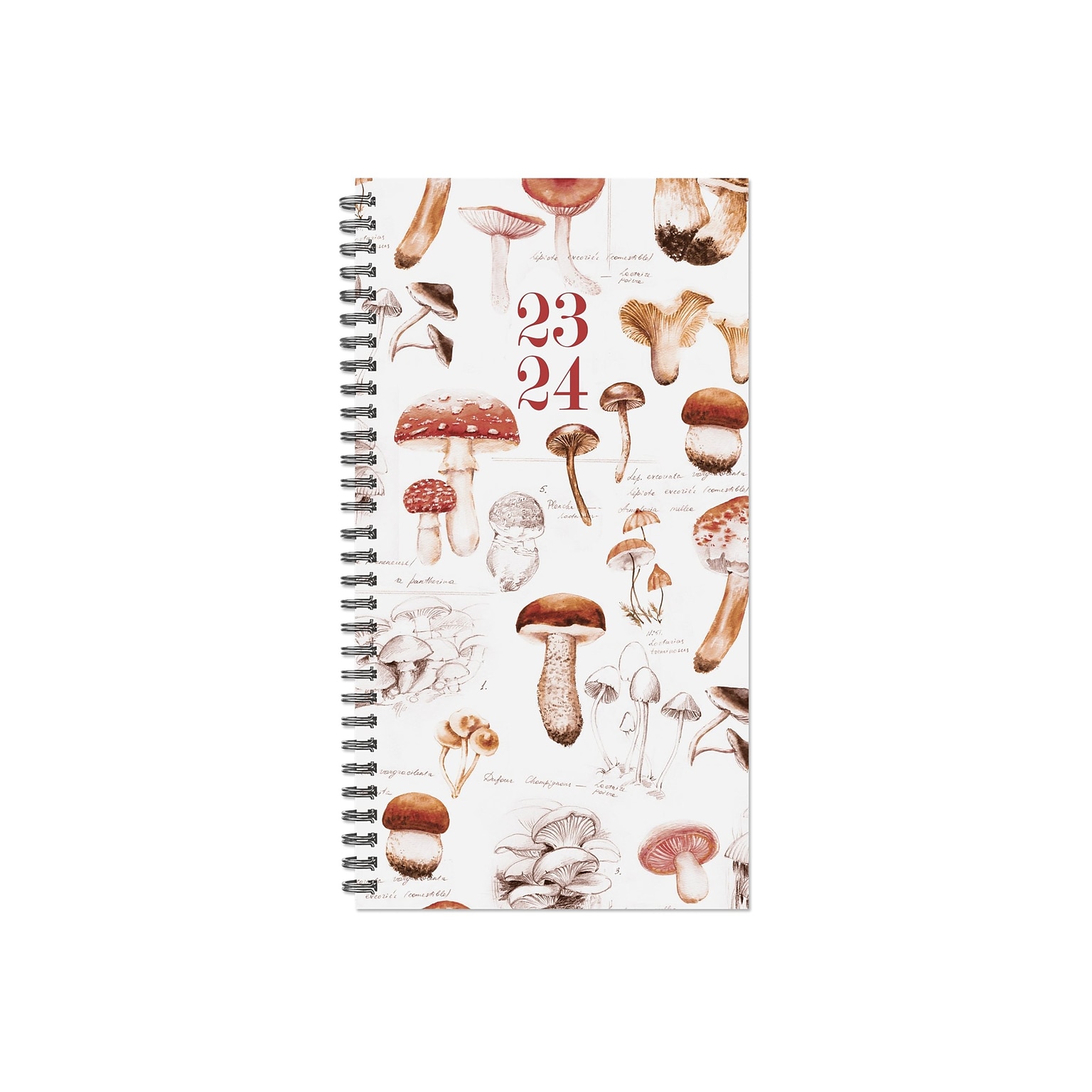 2023-2024 Willow Creek Mushroom Study 3.5 x 6.5 Academic Weekly/Monthly Planner, Paperboard Cover (38277)