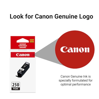Canon 250 Black Standard Yield Ink Cartridge (6497B001)