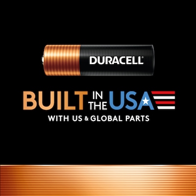 Duracell Coppertop AA Alkaline Battery, 16/Pack (MN1500B16)
