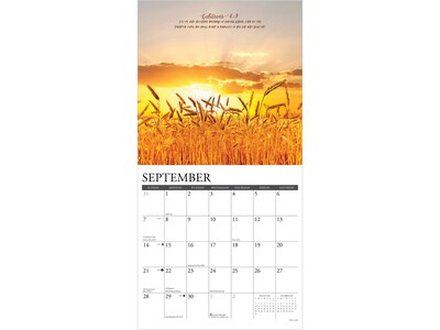 2025 Willow Creek God's Palette 12" x 12" Monthly Wall Calendar (43080)