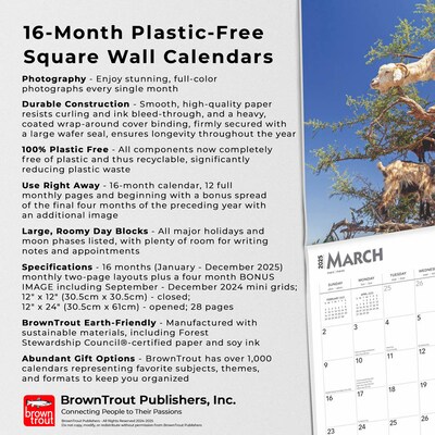 2025 BrownTrout Goats in Trees 12" x 12" Monthly Square Wall Calendar (9781975477059)