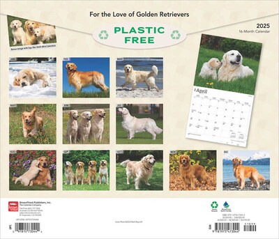 2025 BrownTrout For the Love of Golden Retrievers 7 x 12 Monthly  Wall Calendar (9781975473044)