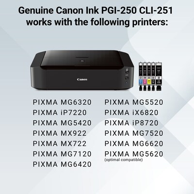 Canon PGI-250/CLI-251 Black/Photo Black/Cyan/Magenta/Yellow Standard Yield Ink Cartridge, 5/Pack (6497B013)