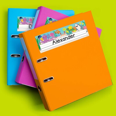 Creative Teaching Press Sea Friends School Name Plates, 9.5" x 3.75", 36/Pack, 3 Packs/Bundle/Bundle (CTP11028-3)