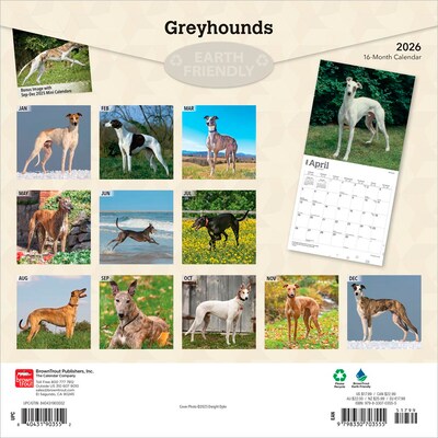 2026 BrownTrout Greyhounds 12 x 12 Monthly Wall Calendar (9798330703555)