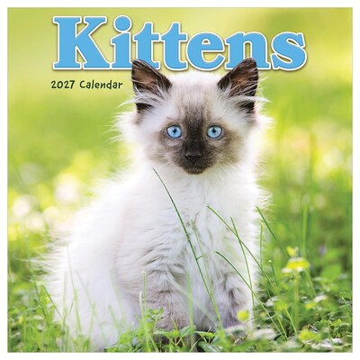 2027 TF Publishing Kittens 7 x 7 Monthly Wall Calendar, Multicolored (27-2002)