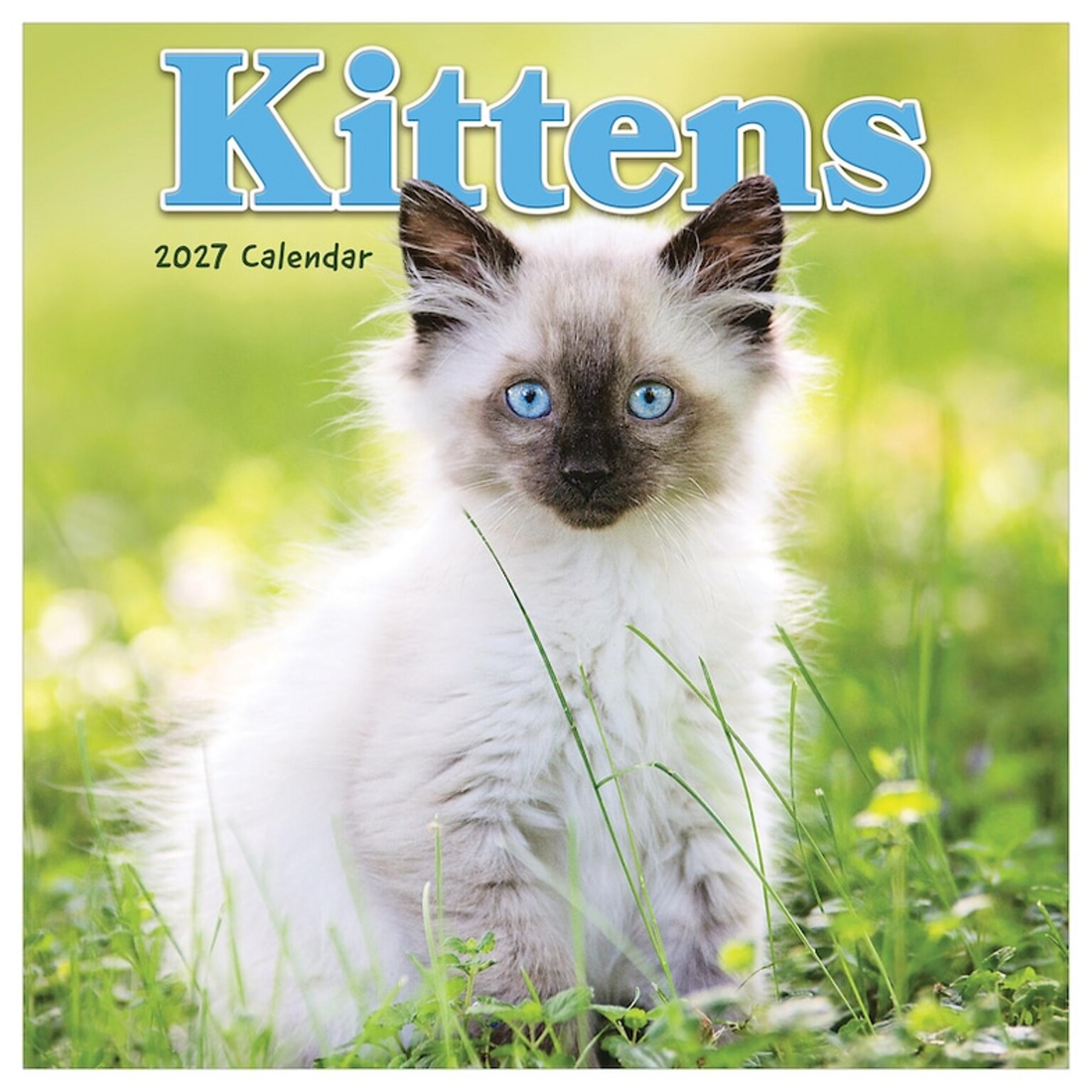 2027 TF Publishing Kittens 7 x 7 Monthly Wall Calendar, Multicolored (27-2002)