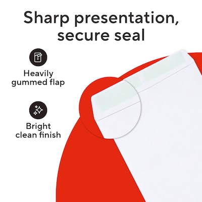 Staples 9 x 12 Gummed Catalog Envelopes, White Wove, Strong Adhesive Flap, Durable Mailing Envelopes, 250/Box