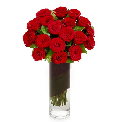 H.Bloom 2 Dozen Red Roses in Vase