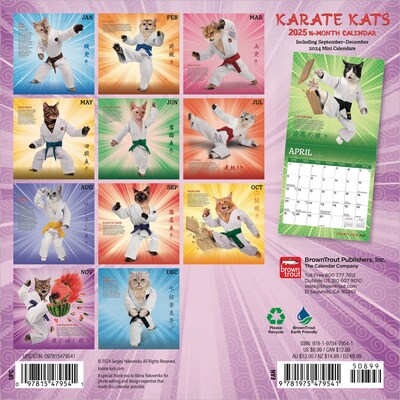 2025 BrownTrout Karate Cats 7 x 14 Monthly Mini Wall Calendar, (9781975479541)