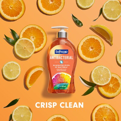 Softsoap Antibacterial Liquid Hand Soap, Crisp Clean Scent, 6/Carton (US03562)