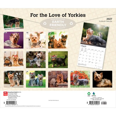 2027 BrownTrout For the Love of Yorkshire Terriers 14 x 12 Monthly Wall Calendar, Assorted Colors (9798330709281)