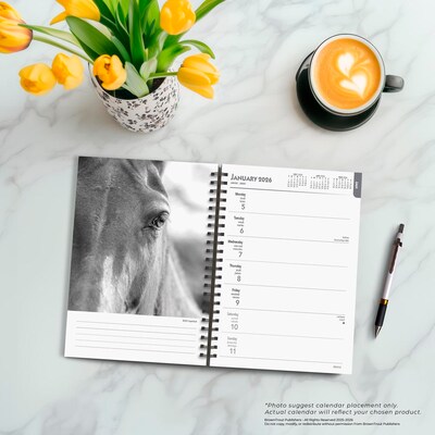 2026 BrownTrout The BrownTrout Portrait Series: The Noble Horse 6.5" x 7.75" Weekly Planner (9798330703746)