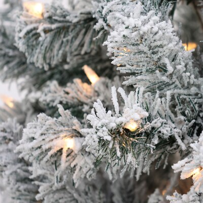 National Tree Company Acacia Artificial Christmas Trees (AC100-308-60F)