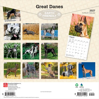 2027 BrownTrout Great Danes 12 x 12 Monthly Wall Calendar (9798330714216)