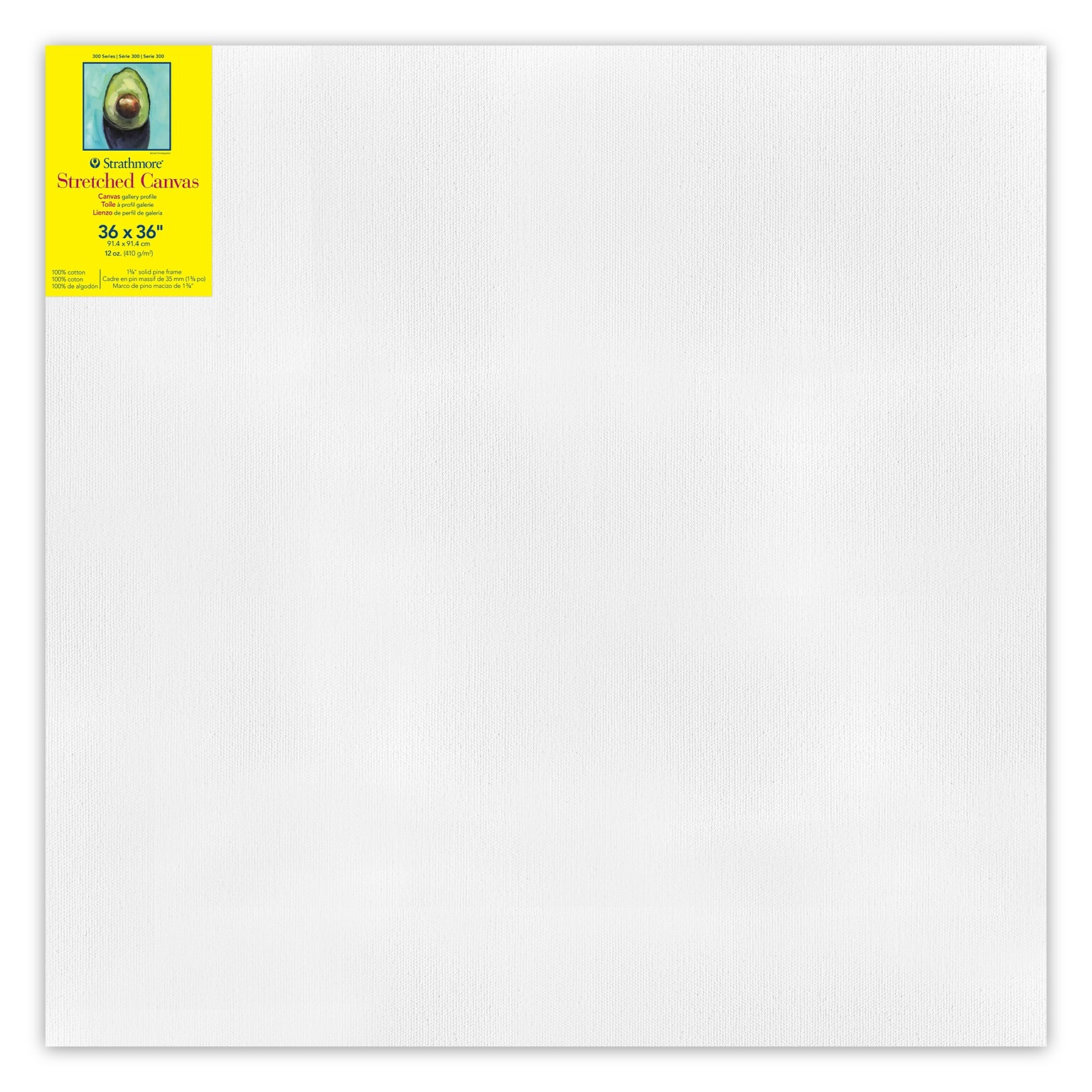 Strathmore 300 Series Primed Gallery Stretched Canvas, 36x36 inch (STT31433)