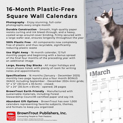 2025 BrownTrout Siberian Husky Puppies 12" x 12" Monthly Wall Calendar (9781975477783)