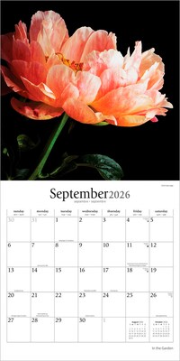 2026 Brush Dance In the Garden 12" x 12" Monthly Wall Calendar (9798330706525)