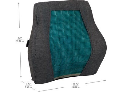 Mind Reader Harmony Collection Foam Back Support, Black/Blue (MEMCUSHGL-BLK)