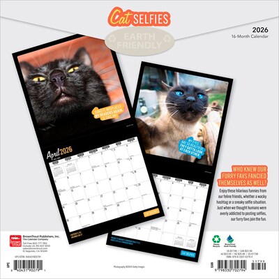 2026 BrownTrout Cat Selfies 12 x 12 Monthly Wall Calendar (9798330702794)