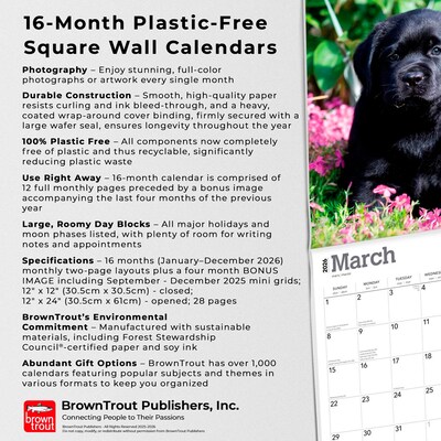 2026 BrownTrout Black Labrador Retriever Puppies 12" x 12" Monthly Wall Calendar (9798330704194)
