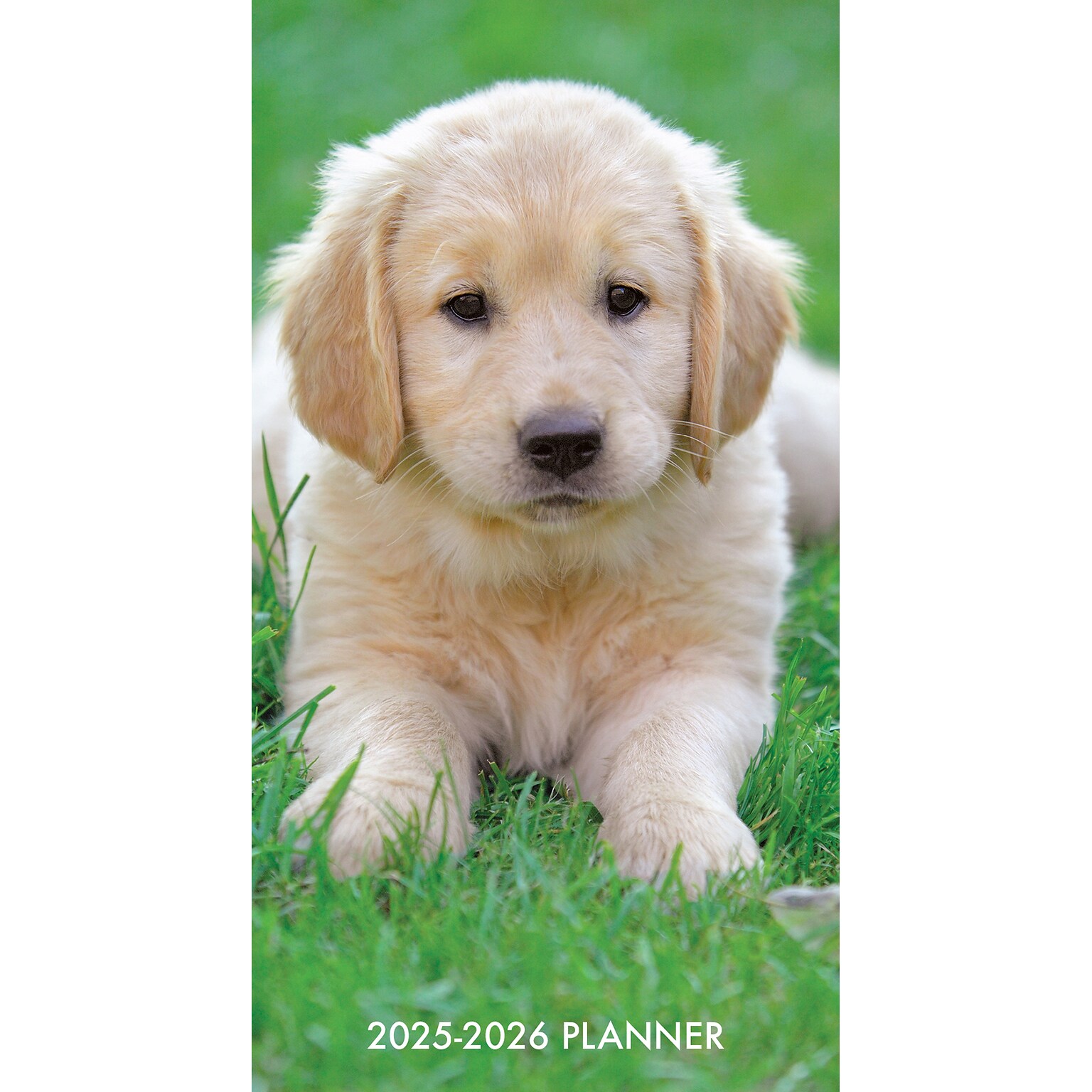 2025-2026 Willow Creek Puppy Love 3.5 x 6.5 Yearly Planner, Paperboard Cover (47088)